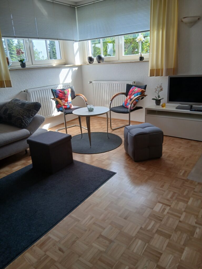 Wohn- Schlafzimmer